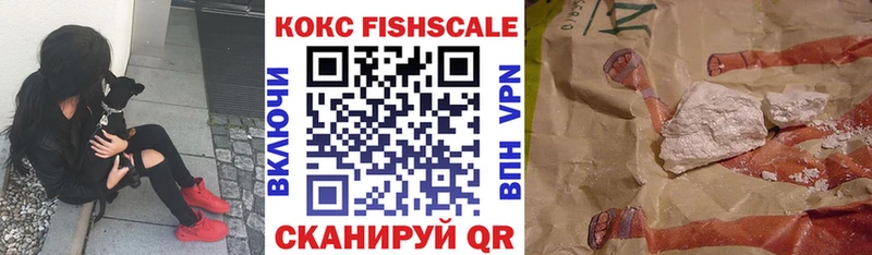 COCAIN Эквадор  mega вход  Тара 