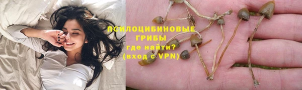 прущая мука Арсеньев